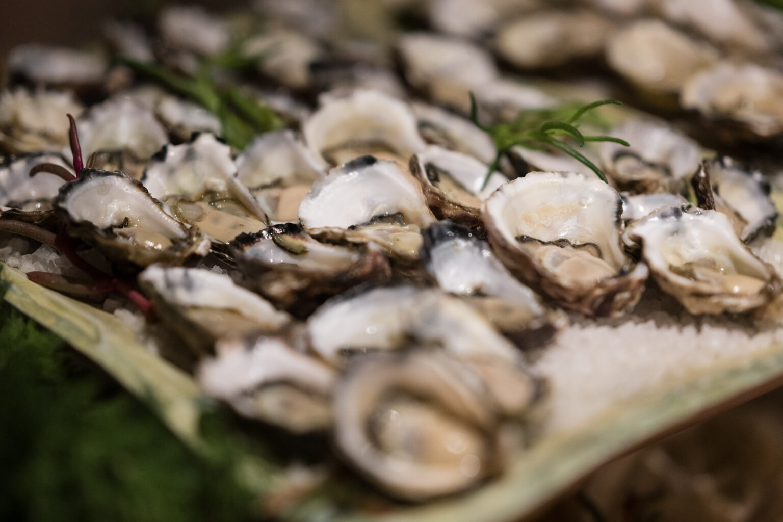 05RECEPTION CHRIS KASSIE (4 of 435)